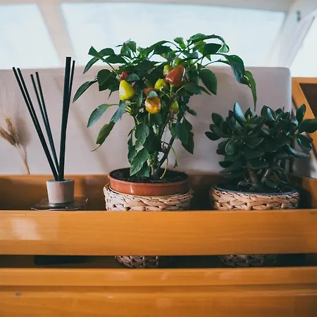 Discoverboat - Pita - Exclusive Boat&breakfast 船屋